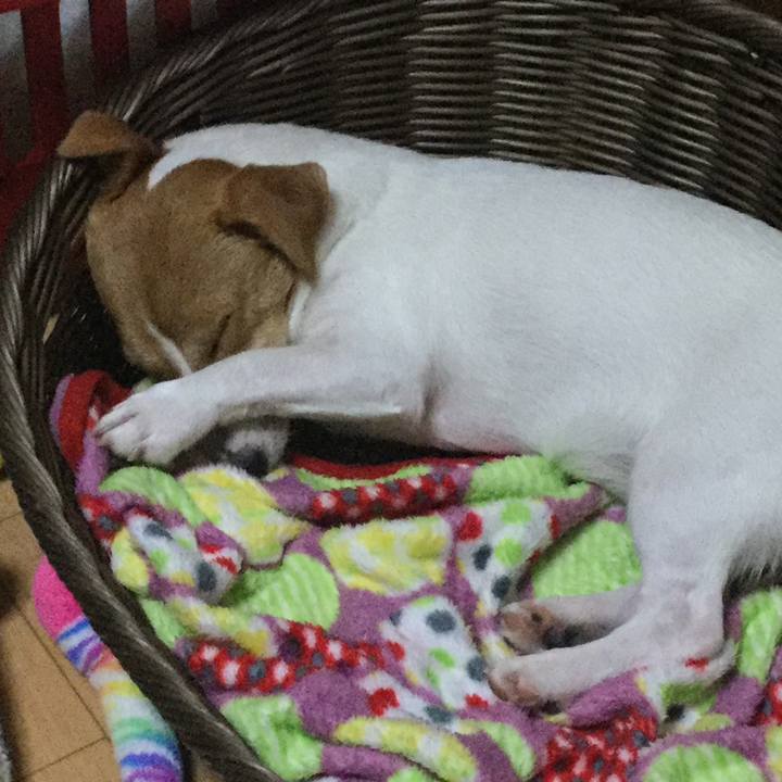 6bd96cc2 5b05 449f 9e26 782e1a618e70