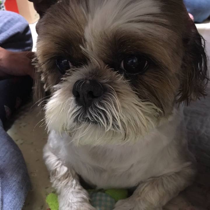 6bdb1845 5533 46be b291 3e77e12a8a95