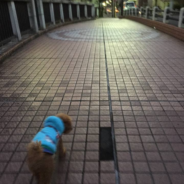 6bdb7a91 52fe 4269 b201 35ebb2397a7c