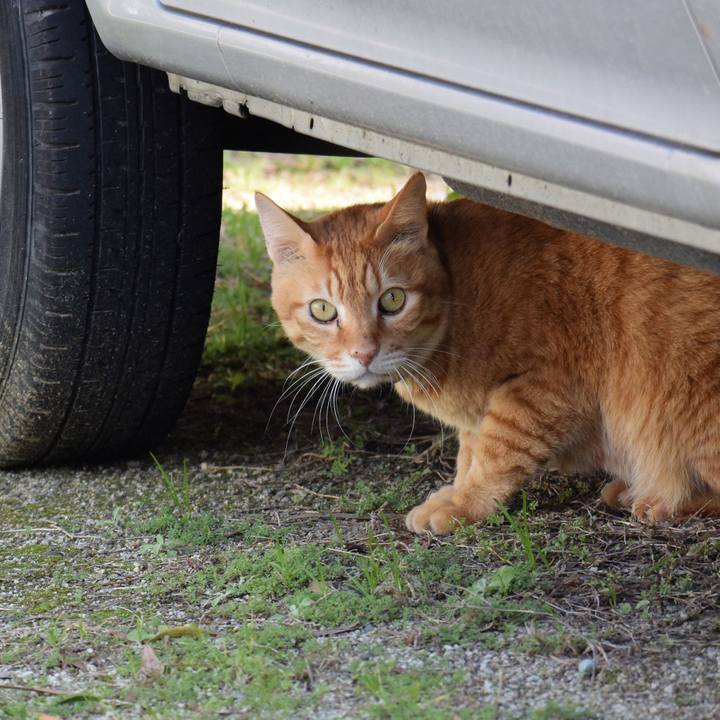 6bdb856a 5b14 486d 9611 06e9fd6d4398