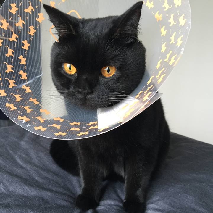 6bdcdfa9 56a2 49a3 aa83 25ef25263d1c