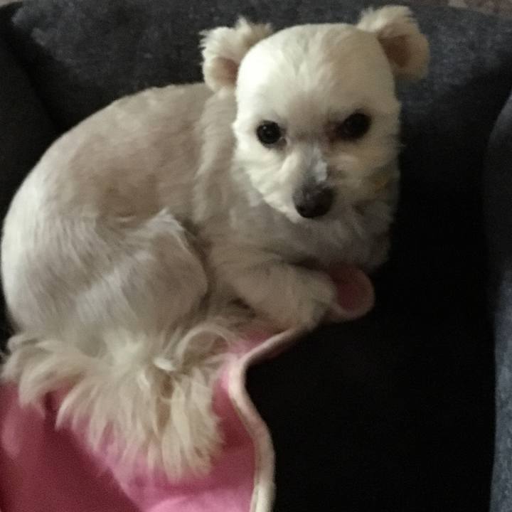 6bdcef93 4450 4043 a20c cd0fd01ed8ef