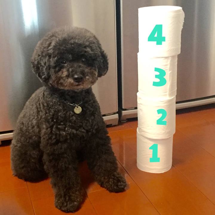 6bdd255a 05be 466c bf4f d9273bc1e632