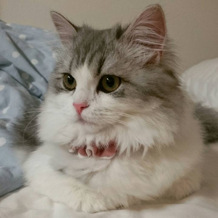 6bdd685d dcf4 47f3 b05d 9f9748d21061