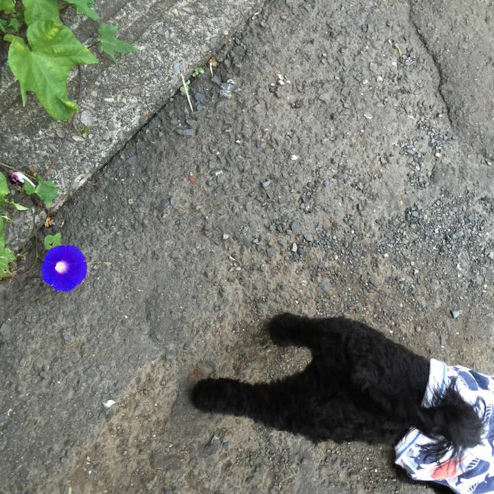 6bddf2af 979c 467e 890f a0591c0c0433