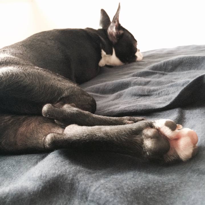 6bdeddc2 9e9e 45d4 aa29 5da316fbb88c