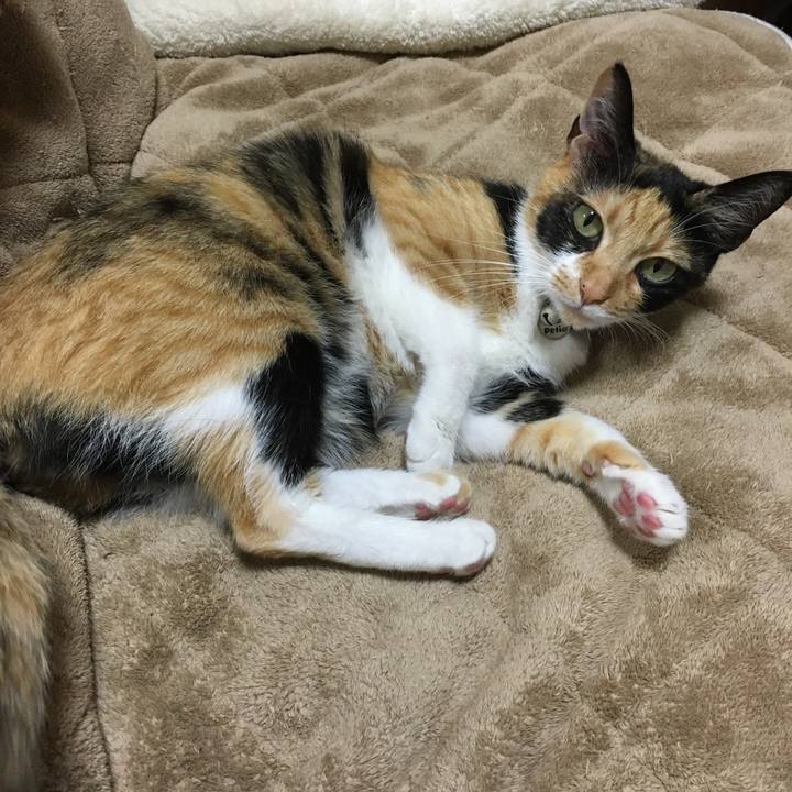 6bdefe78 30ea 435d 9005 3378ee2d2346