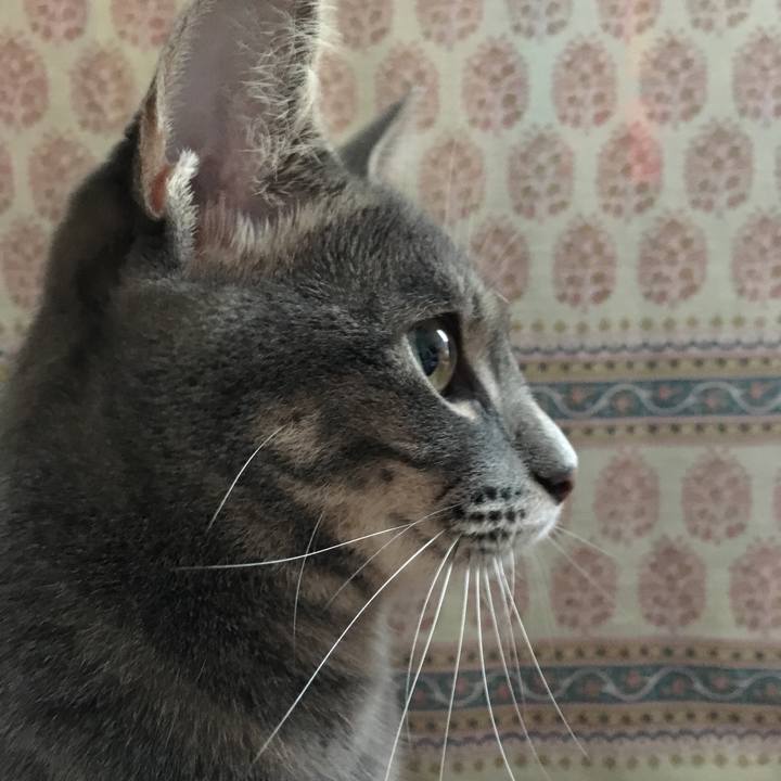 6bdf5537 5018 4841 8427 8a8897fffd00