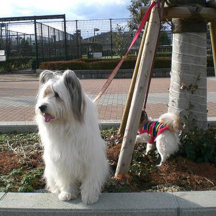 6bdfb3b2 3877 4f43 8d9f 5c1eddd67f21