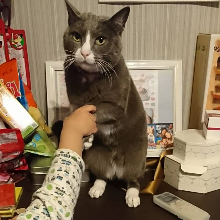 6bdfbd9f dd09 48ed 88b3 d1233a8d84f4