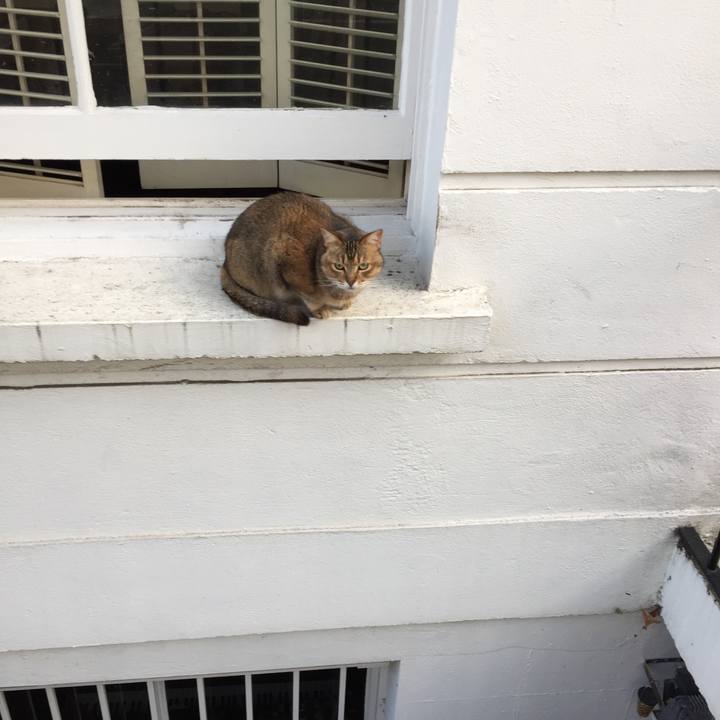 6bdfdf25 b09a 44fc b07f 0f5d9ccd4c90