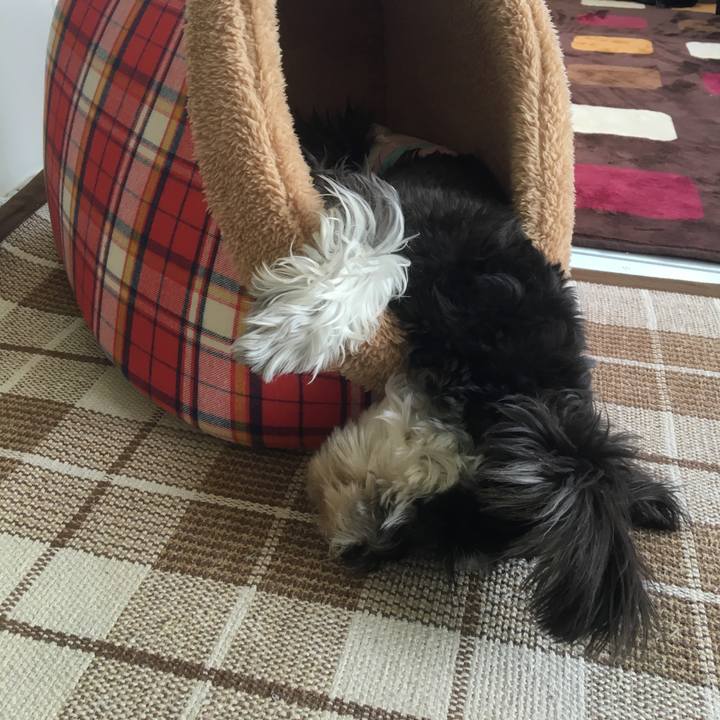 6bdfe573 2ce8 4372 ba72 7ccba30d7fc7