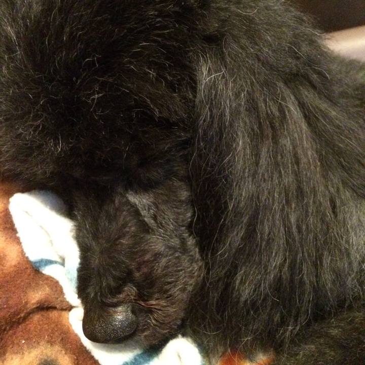 6be01df5 1f8e 4616 bcbf 3b90ac384aef