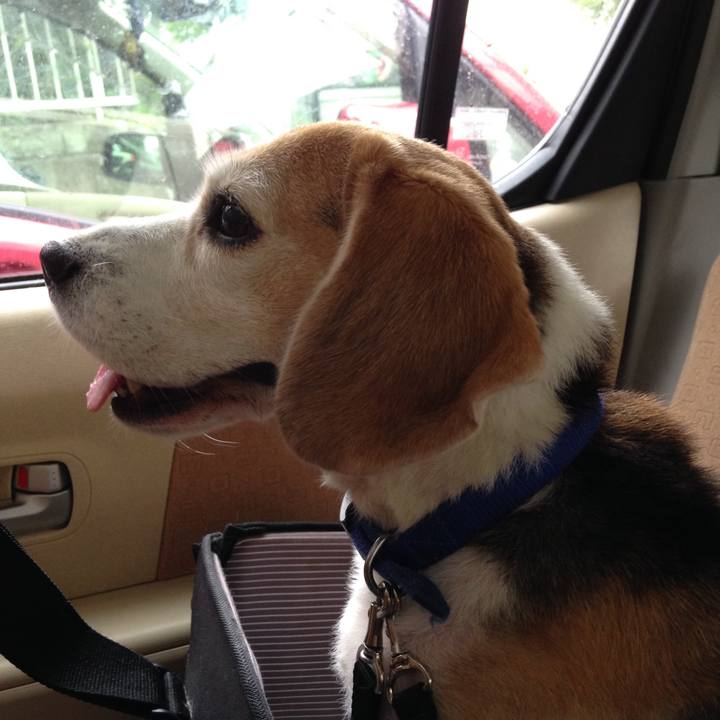 6be0ae51 d1d8 4ba4 94c7 cf1ff3f16ddc