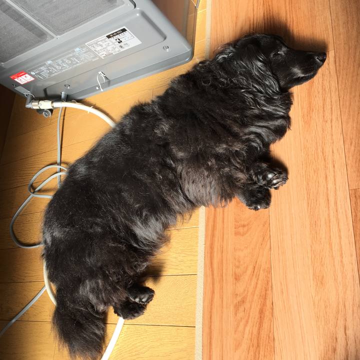 6be0f754 92e7 47fa aaad 1634a0cb06a6