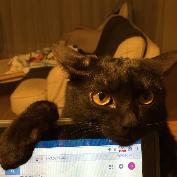 6be18a96 9c01 4664 b99a 1f05633ccb08