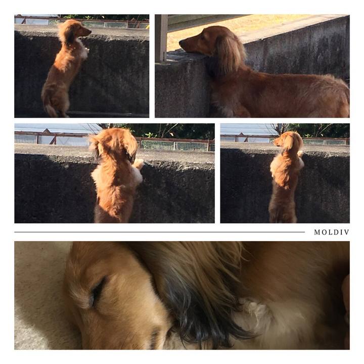 6be1934e e3ba 4807 9142 97ec9864eef2