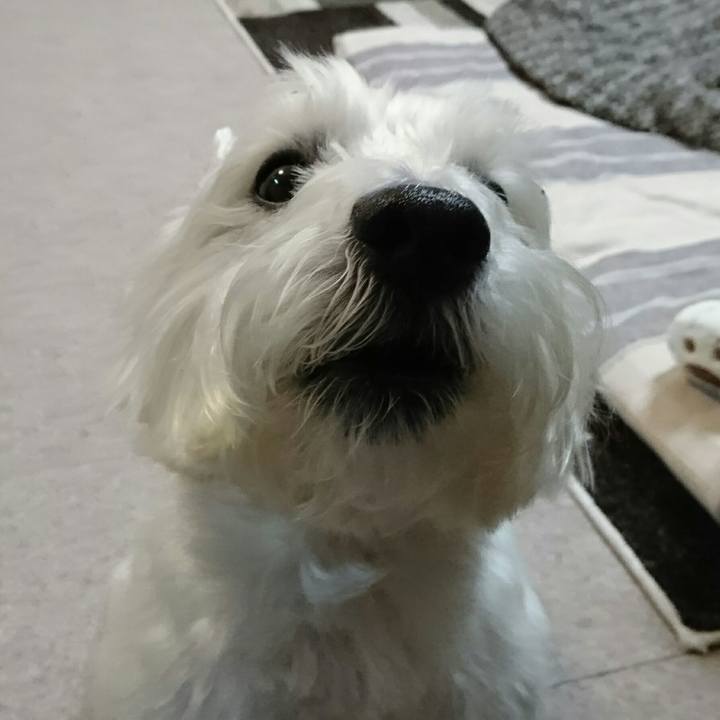 6be1b746 51df 476a 950d df72dd763b97