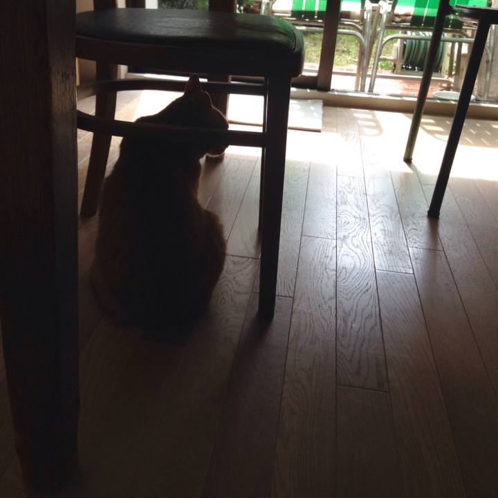 6be27551 47da 41b5 97f7 9cc4d1a4bd48