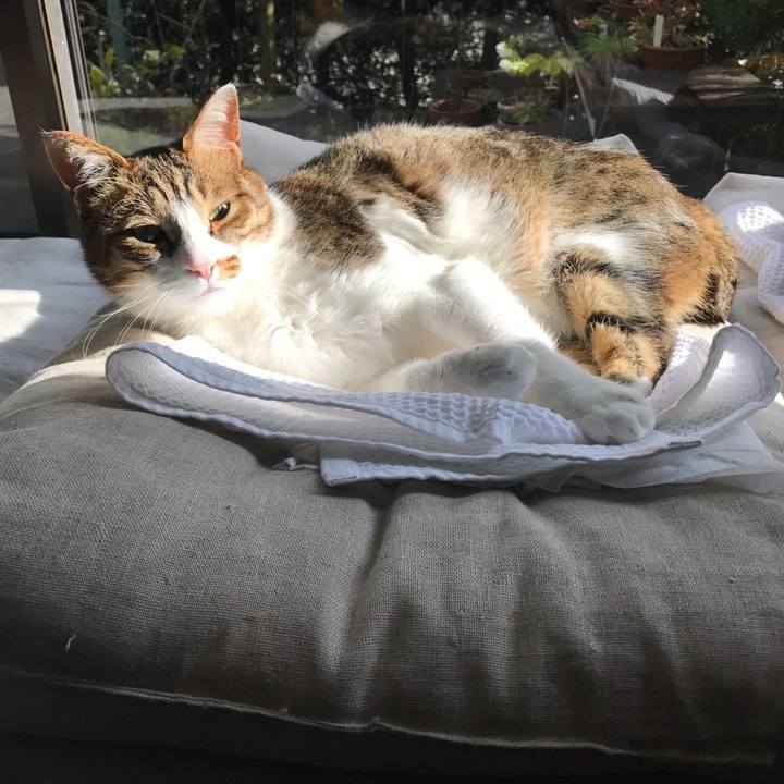 6be2cc64 03d5 4870 b5f0 8553b4abb02a