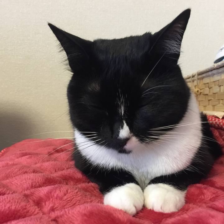 6be2df20 2a0d 40ec b45d 31bbe3aa24f1