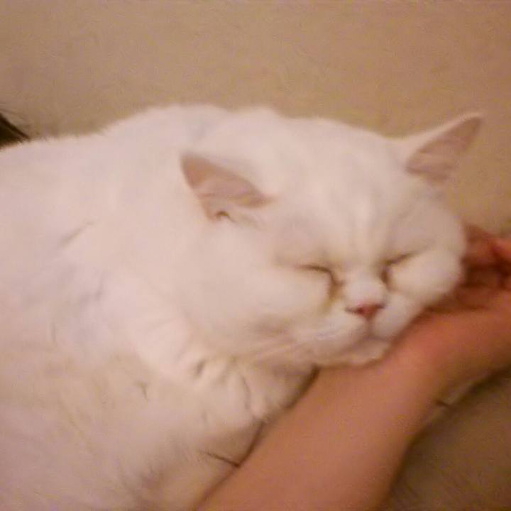 6be3bdf8 2338 4aa1 9551 553011485512