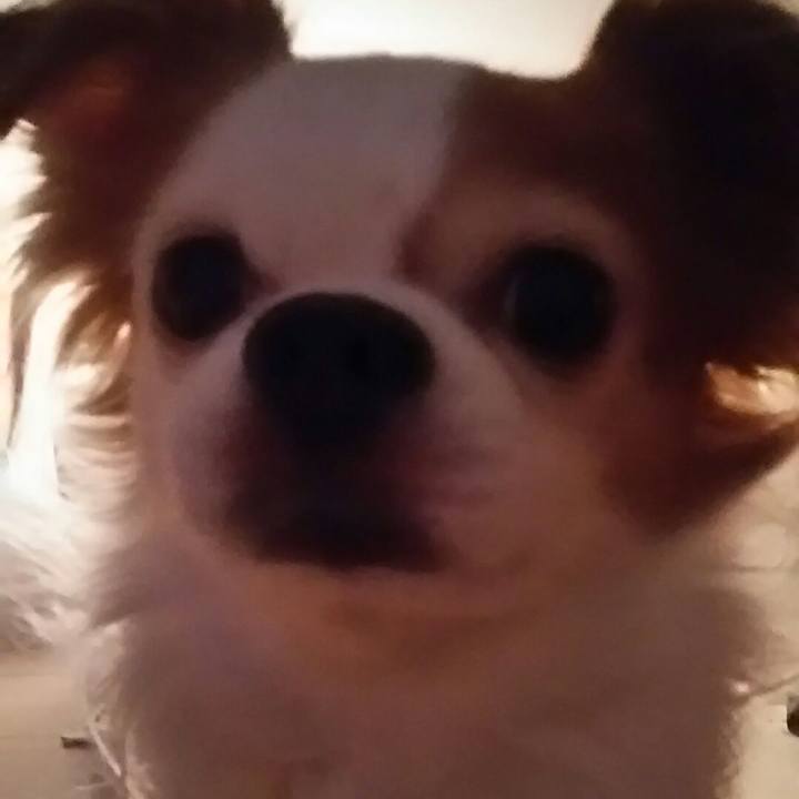 6be3cc86 24a1 4cc9 bd48 0010129593dd