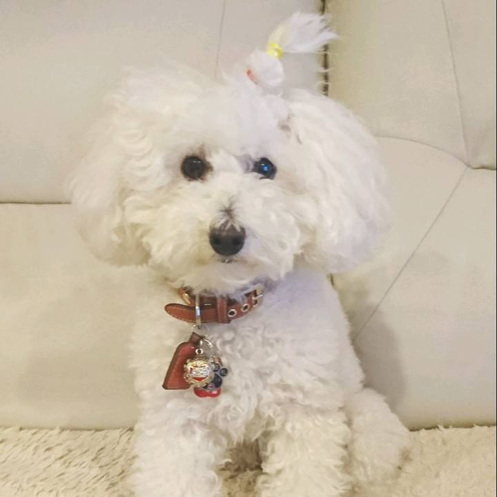 6be4e623 1327 420d 93a1 6e0ef44cdc9a