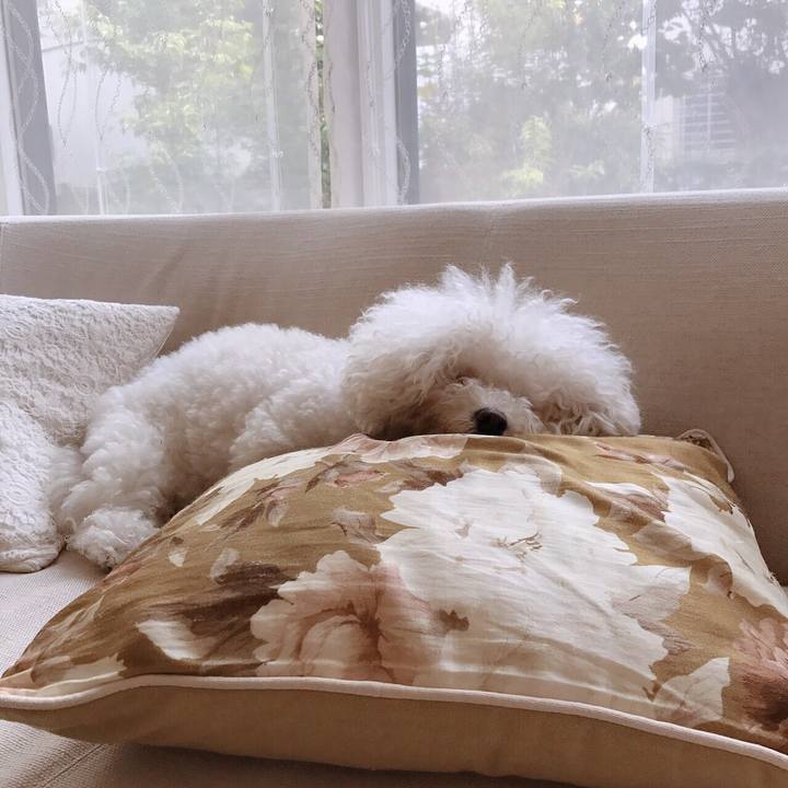 6be4ec27 6b8f 45df 8323 a9bc5b767c11