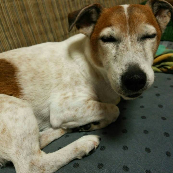 6be50078 d141 4573 ac4b a1eff178919b