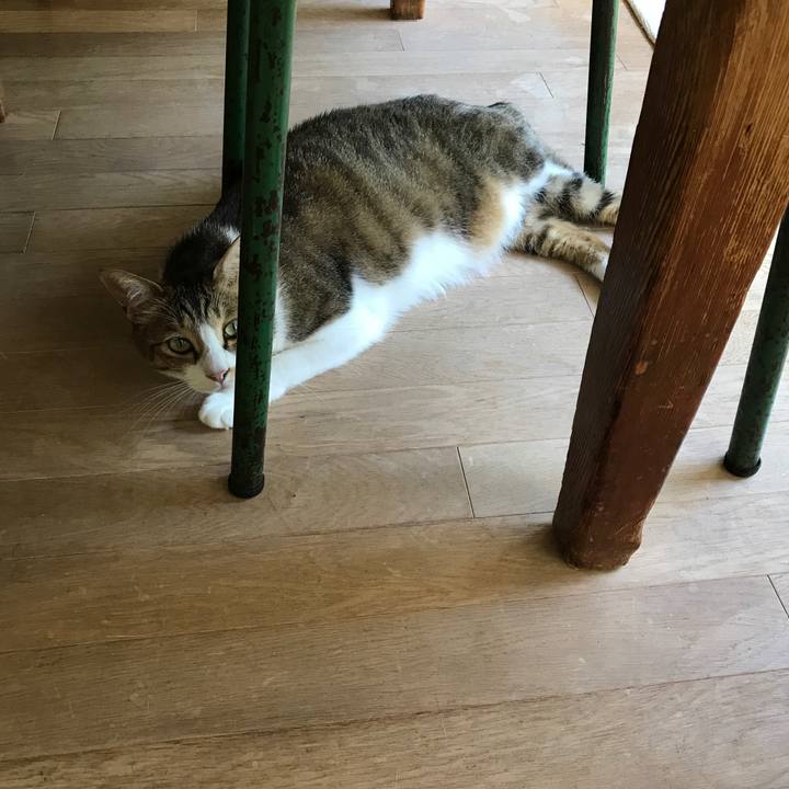 6be537b0 fea8 48e7 9bff e212a1ac4556