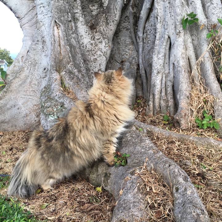 6be56d93 e45b 451a a44b a3b06e93417d