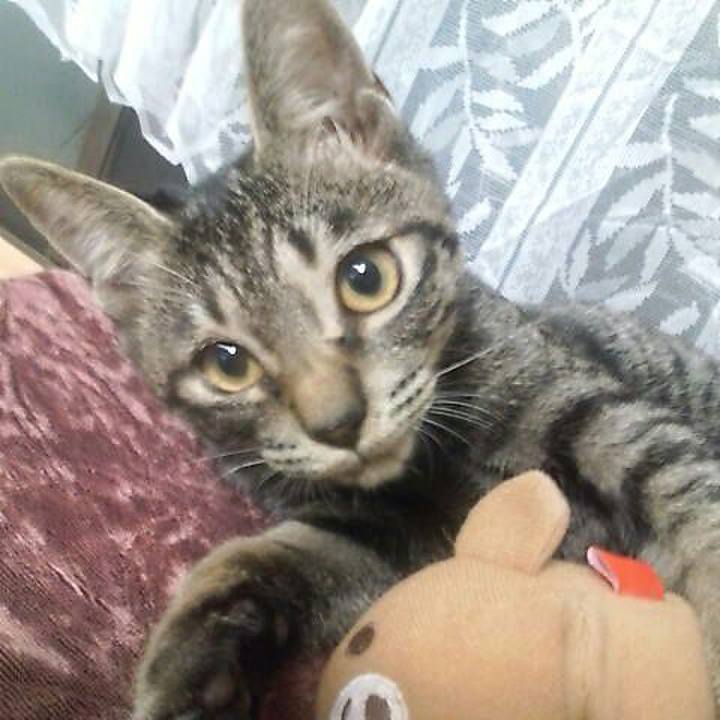 6be57c98 e776 40f6 8c78 c30b5092ba72