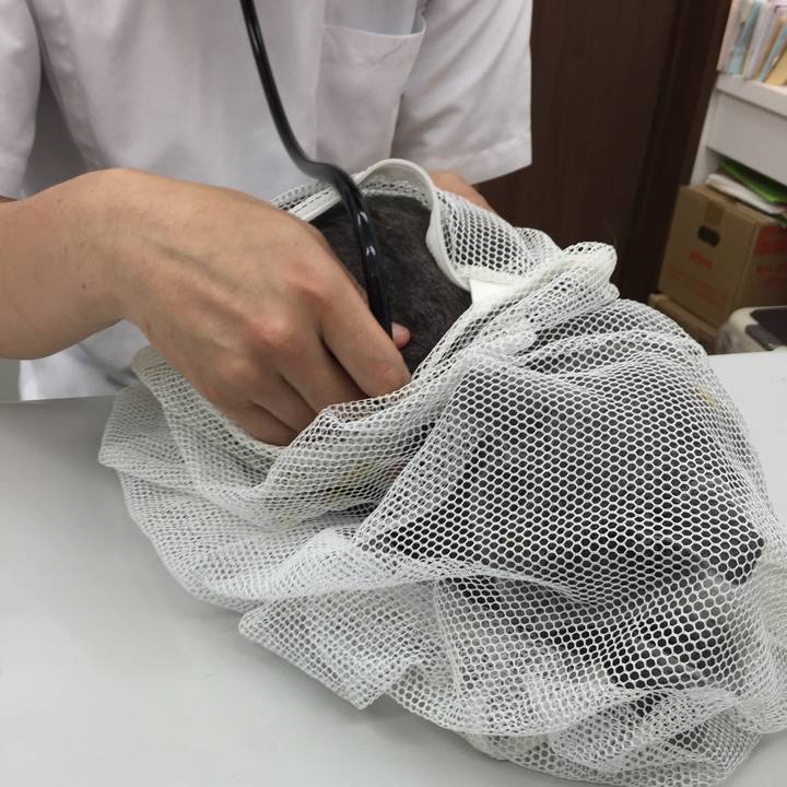 6be5b368 947c 46a6 aeda f4887f6b0e3d