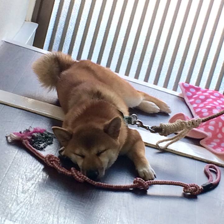 6be65571 f8c5 4db8 ad54 0f46a08bf5ff