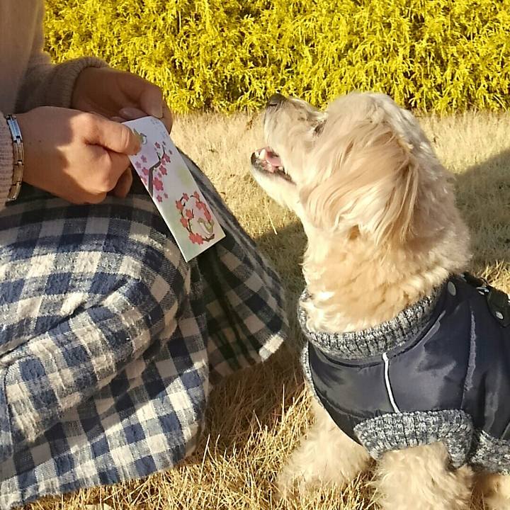 6be69887 5f63 456c a511 1a574cb18b17