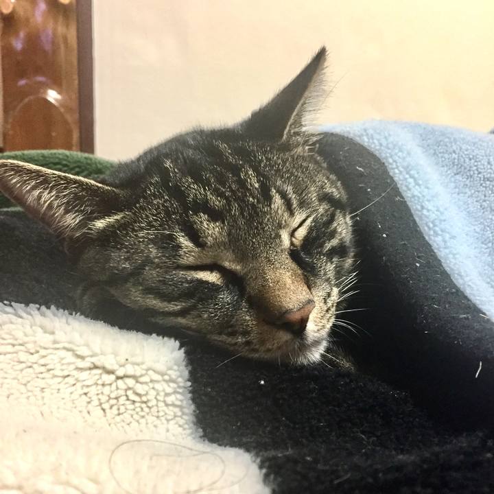 6be70f22 4f97 4f17 acc3 7cee00d85c18