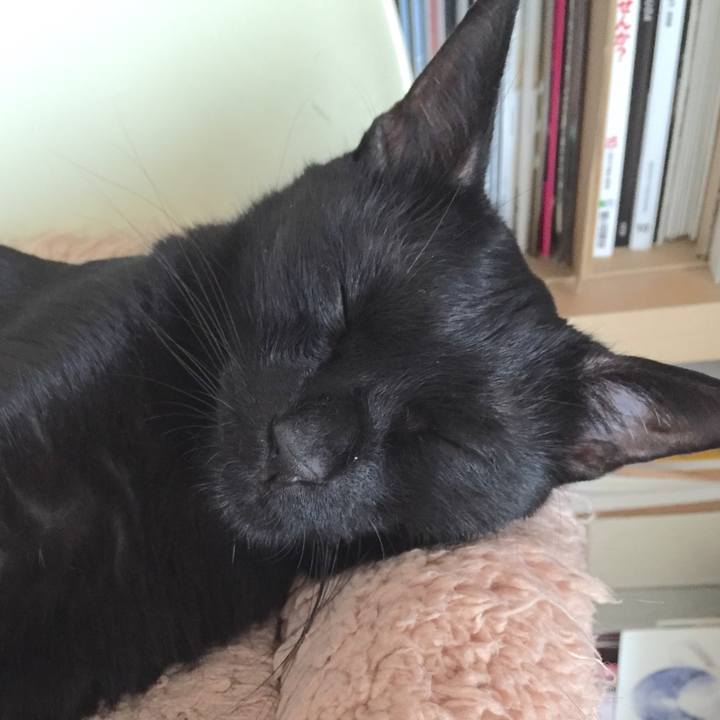 6be7ea9d 621d 46dc bcfa 79e54320c774