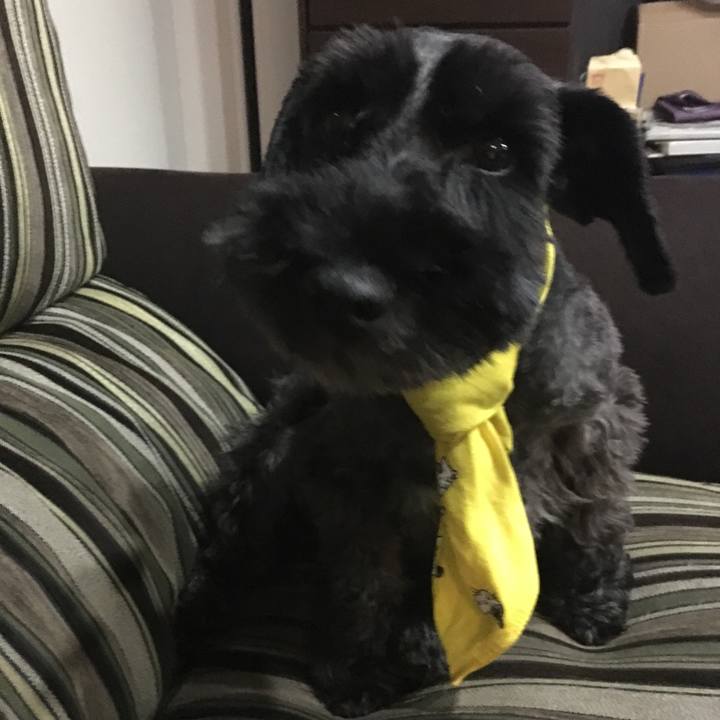 6be826b9 4549 40b6 ad93 96b94238fd24