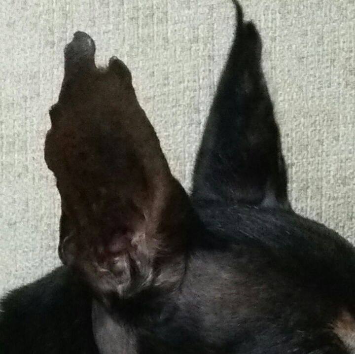 6be8a3a0 0cd6 4535 8132 7b1c44db010d