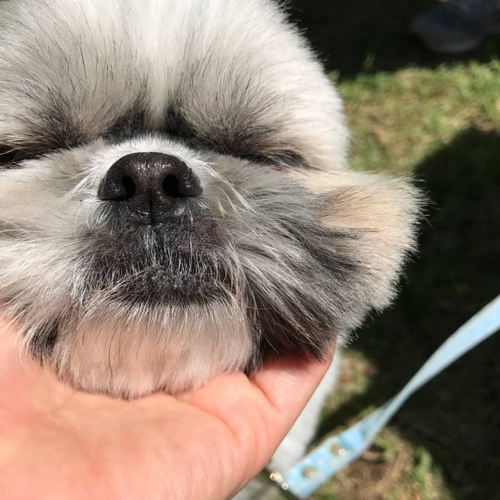 6be92030 0afa 4a25 9aae 53ef4836e1f4