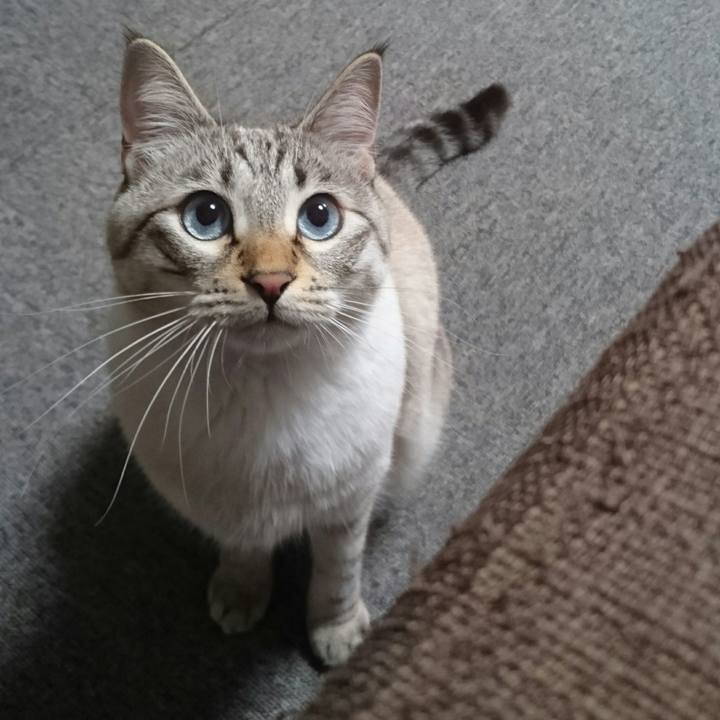 6be9308e ba1c 44e1 ab30 c78a0439847d