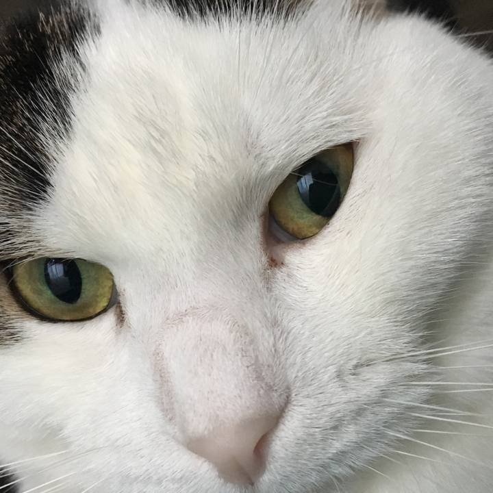 6be95aae b43d 47ad 83a7 898d858e1aef