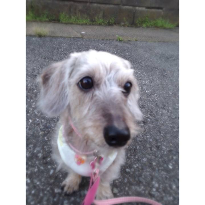 6be9f9b1 2710 4238 9695 1e695456b878