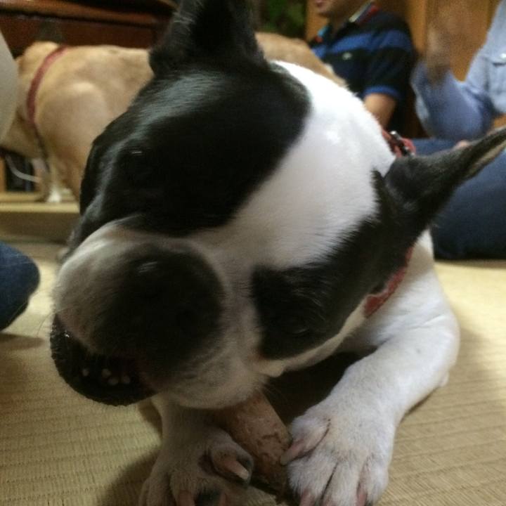 6bea1eb7 d587 4c01 8d6f f1ad1de04ca1