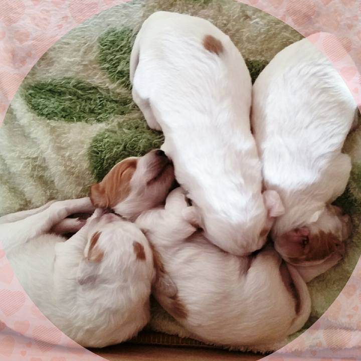 6bea2e0a 5ddc 471b a342 fdc6762b434e