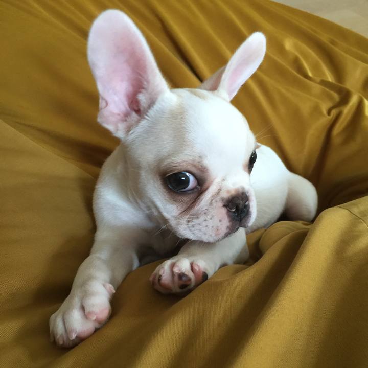 6bea3404 b234 4832 9d6d b9c6a5b32ef4