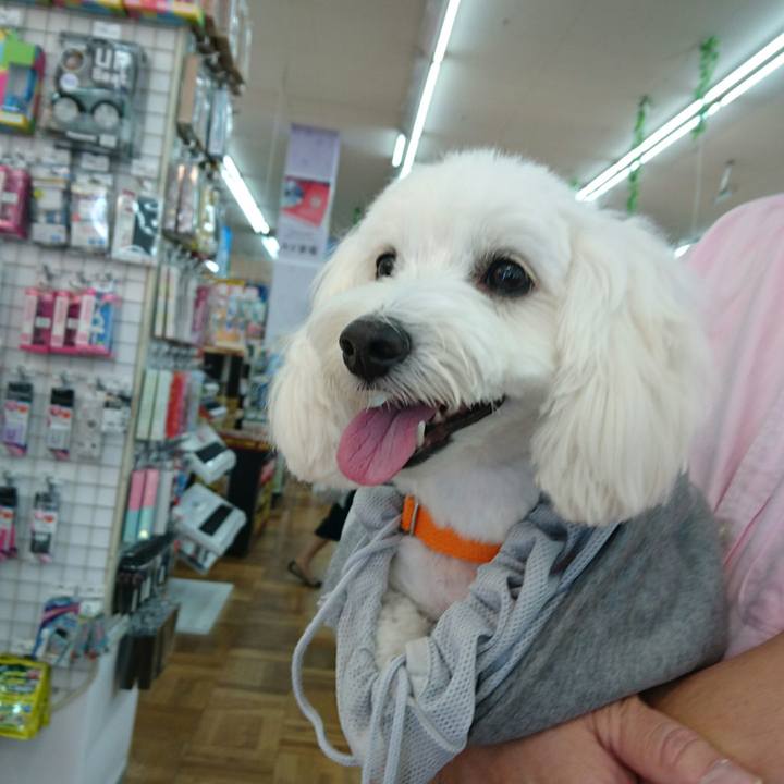 6bea3668 d596 44b0 a757 8bc74ccd6587