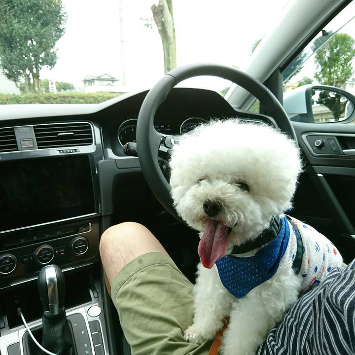 6bea516d 5d6f 481b 9146 2ee2c20beca7