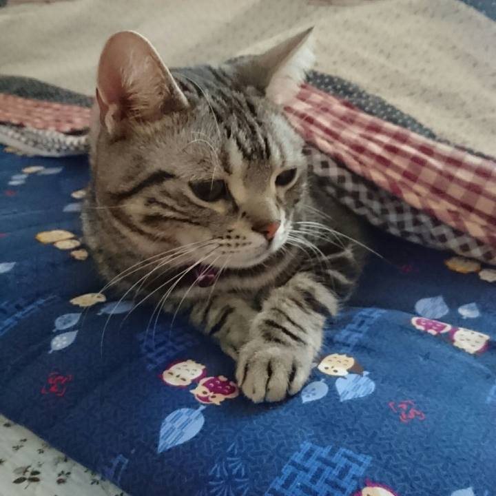 6beb1009 9eec 4da6 a67b d2971b75d304